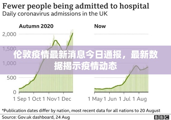 伦敦疫情最新消息今日通报，最新数据揭示疫情动态