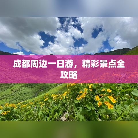 漫天飞舞 第3页