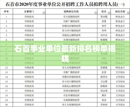 石首事业单位最新排名榜单揭晓