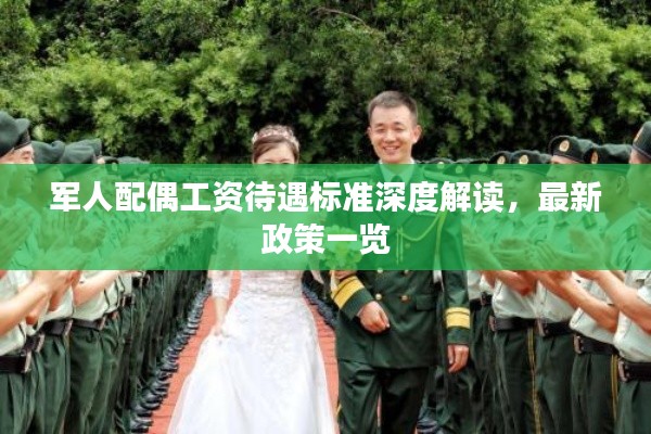 军人配偶工资待遇标准深度解读，最新政策一览