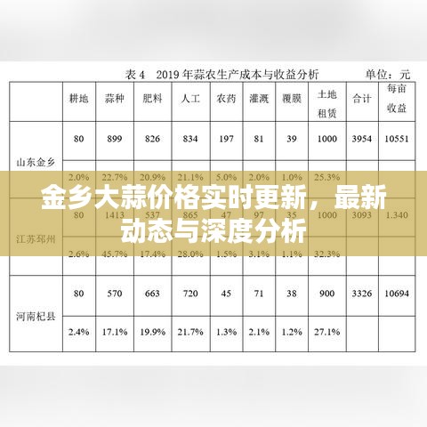 金乡大蒜价格实时更新，最新动态与深度分析