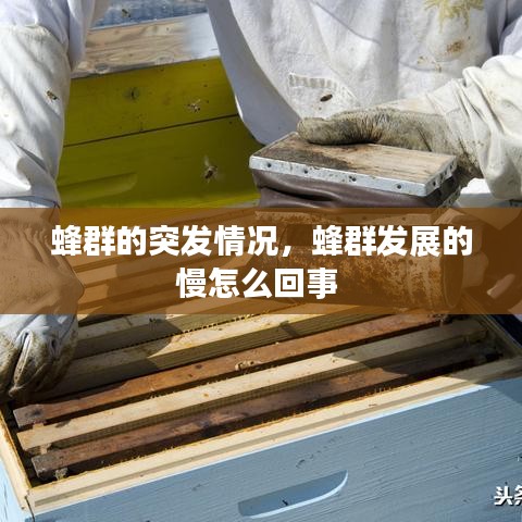 勤学苦练 第3页