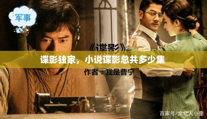 谍影独家，小说谍影总共多少集 