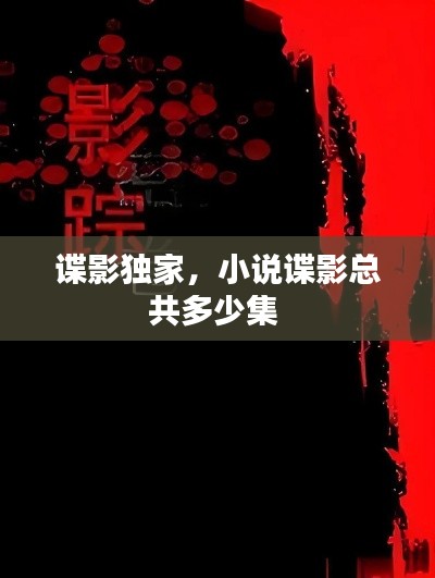 谍影独家,小说谍影总共多少集