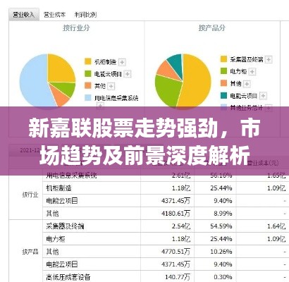 新嘉联股票走势强劲,市场趋势及前景深度解析
