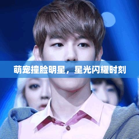 萌宠撞脸明星,星光闪耀时刻