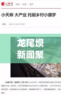 龙尾坝新闻聚焦，最新动态、深度解析，一网打尽！