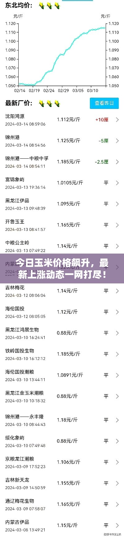 飞禽走兽