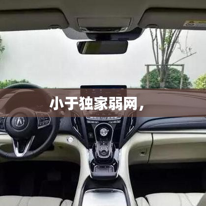 小于独家弱网， 