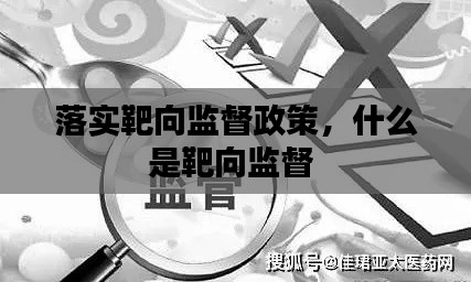 落实靶向监督政策，什么是靶向监督 