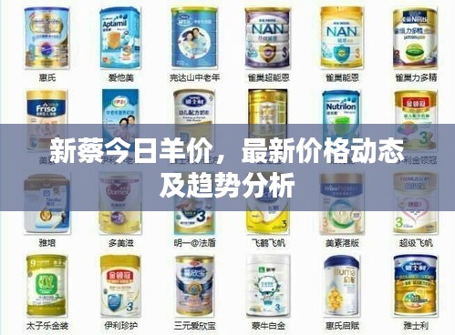 贵极人臣