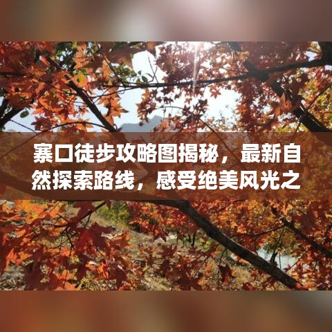 笃新怠旧 第2页