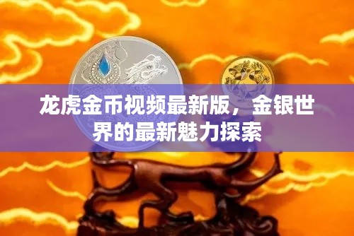 龙虎金币视频最新版,金银世界的最新魅力探索
