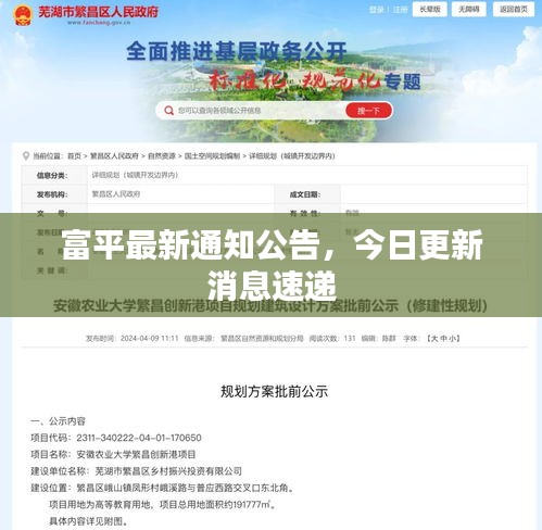 富平最新通知公告，今日更新消息速递