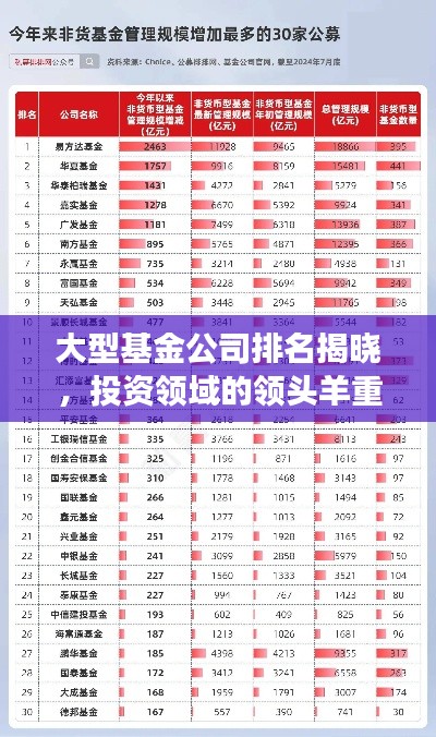 大型基金公司排名揭晓，投资领域的领头羊重磅出炉！