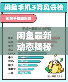 闲鱼最新动态揭秘,今日新闻一览无余