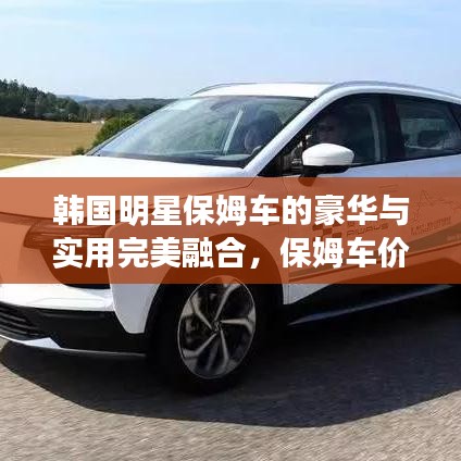 韩国明星保姆车的豪华与实用完美融合,保姆车价格揭秘