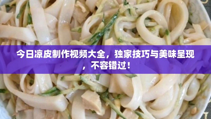 今日凉皮制作视频大全，独家技巧与美味呈现，不容错过！